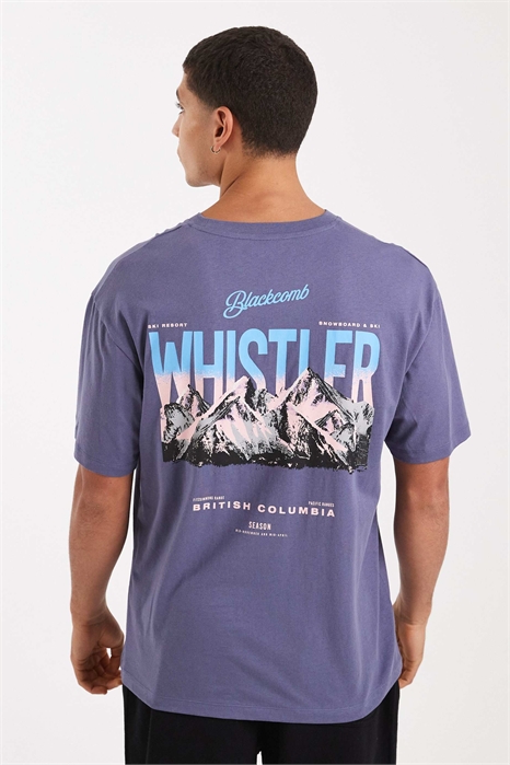 Футболка с принтом в виде гор на спине артикул 153119434