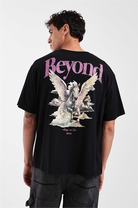 Футболка прямого кроя с принтом в виде Пегаса на спине артикул 153119374