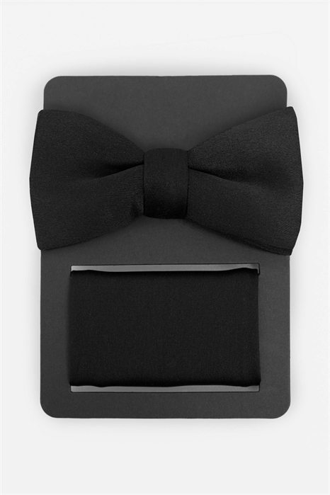 Набор из атласного галстука-бабочки и нагрудного платка артикул 154610355