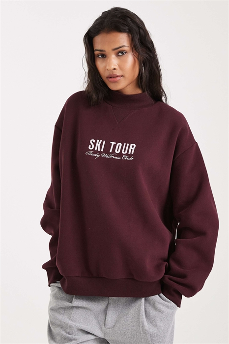 Мягкая толстовка с высоким воротником и принтом, посвященным лыжным походам артикул 153329952