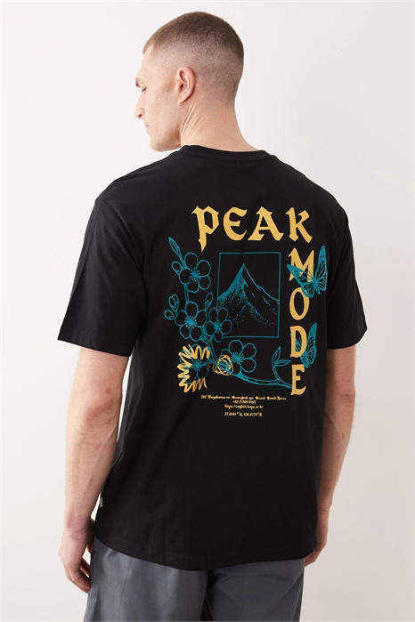 Футболка свободного кроя с принтом в виде гор на спине артикул 155407555