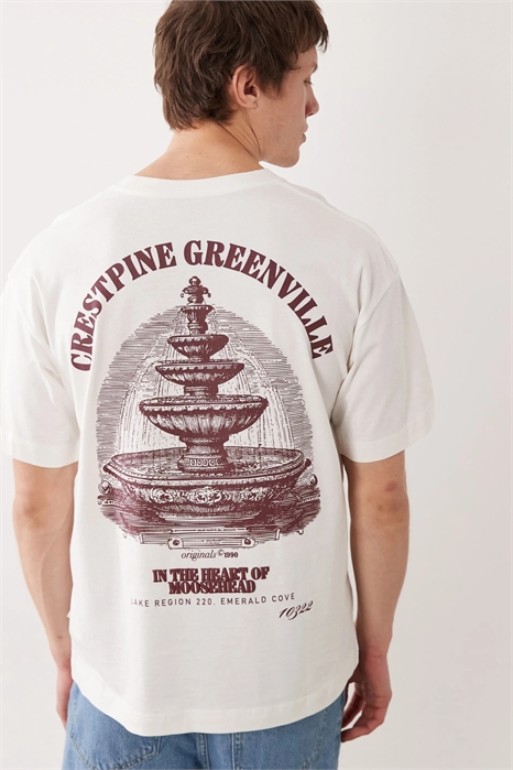 Футболка свободного кроя с принтом в виде фонтана на спине артикул 154767597