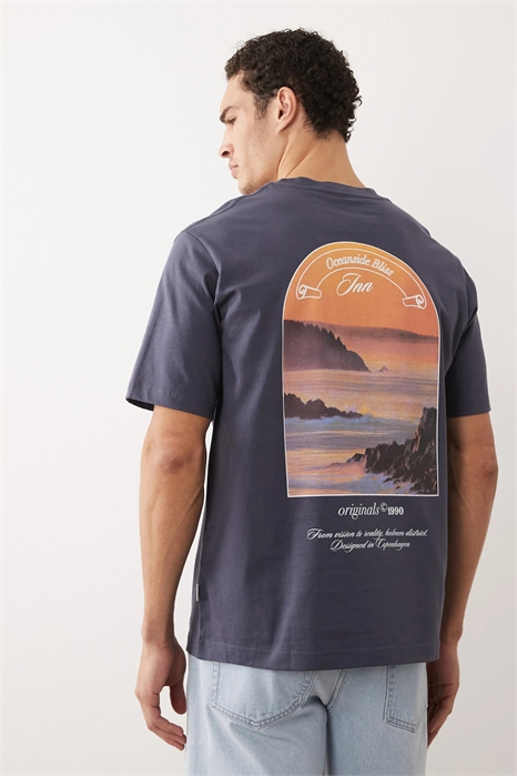 Футболка свободного кроя с пейзажным принтом на спине артикул 154767604