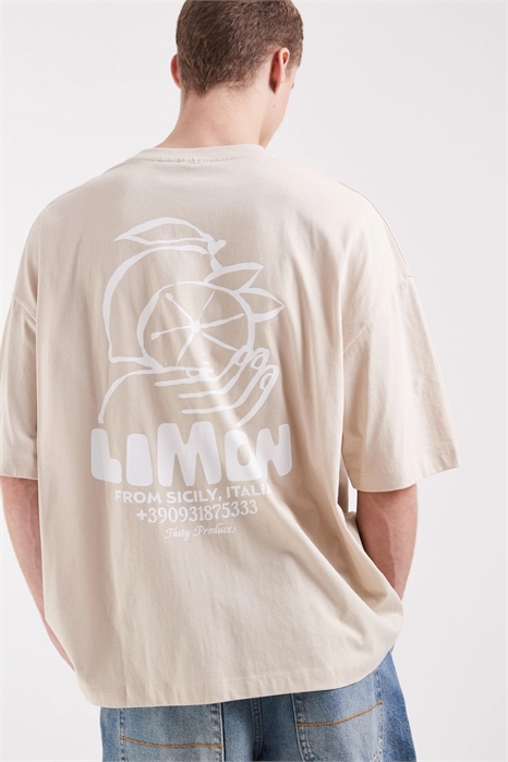 Футболка свободного кроя с рисунком в виде лимона артикул 154636032