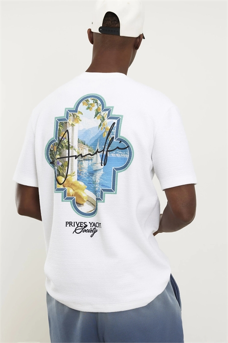 Футболка свободного кроя с принтом в виде фруктов артикул 156044397