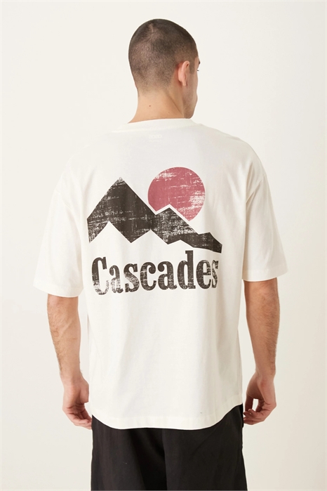 Футболка свободного кроя с принтом «Каскады» артикул 152196670