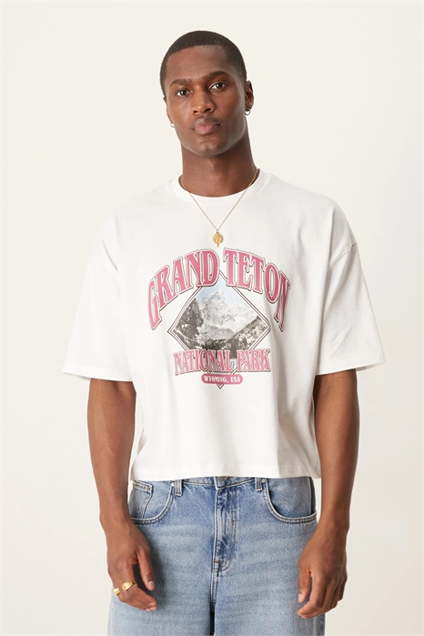 Укороченная футболка свободного кроя с пейзажным принтом артикул 141219349