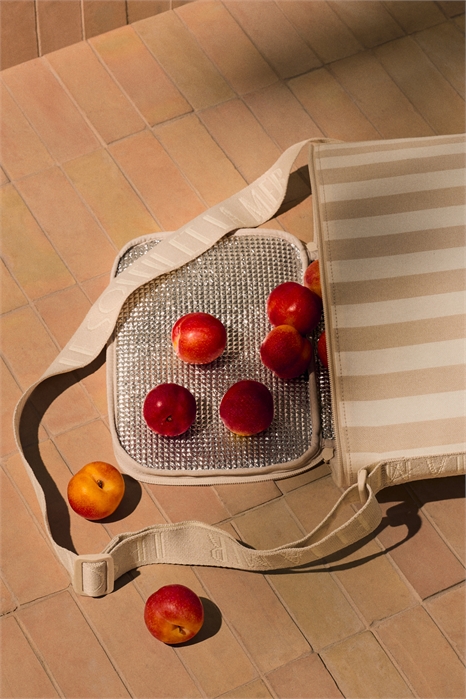 Водоотталкивающая сумка-холодильник артикул 1318027001