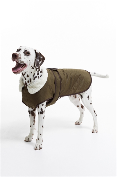 Стеганая куртка для собак
