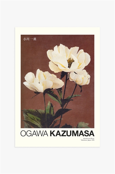 Постер Пион работы Кадзумасы