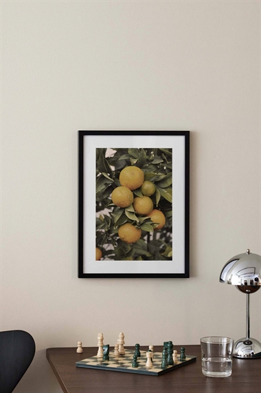 Постер Апельсиновое дерево