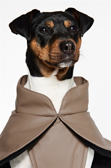 Куртка для собак с покрытием