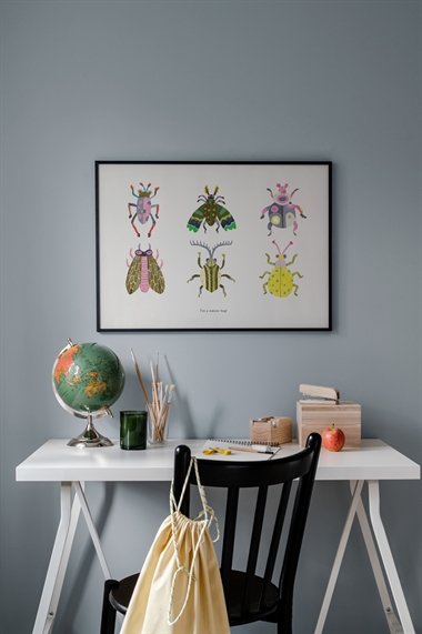 Плакат с изображением жуков