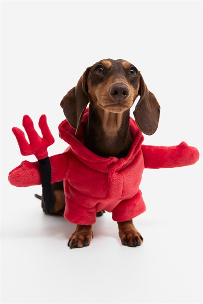 Маскировочный костюм для собак
