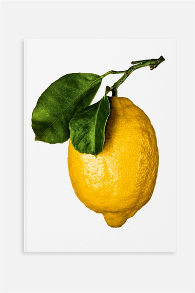 Лимон гурмана: истории и рецепты