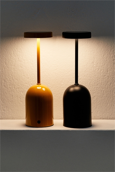 Открытый солнечный светильник 1235164001