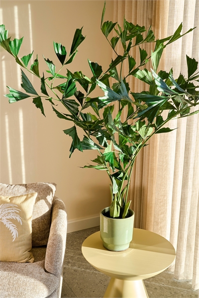 Искусственное растение "Рыбохвостая пальма 1305929001