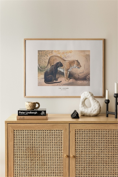 Постер с изображением леопарда 1304628001