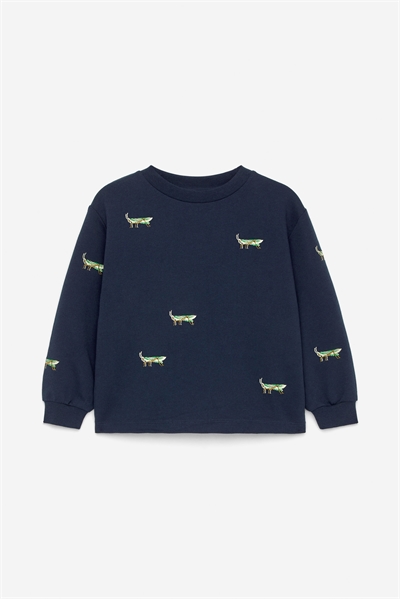 Толстовка с вышивкой 1246968002