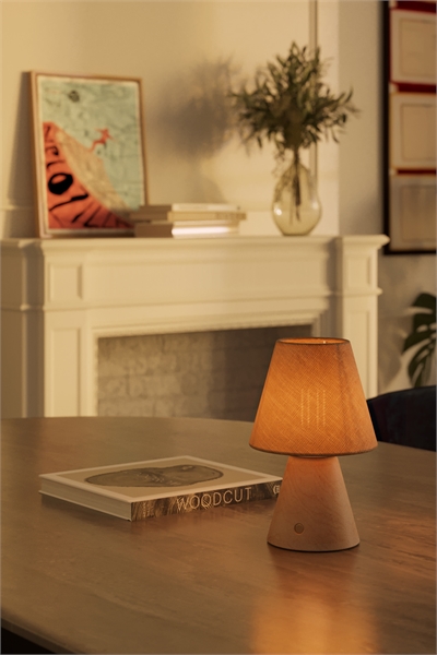 Аккумуляторная лампа с абажуром и лампочкой 1316812001