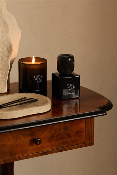 Тростниковый диффузор 1249273002