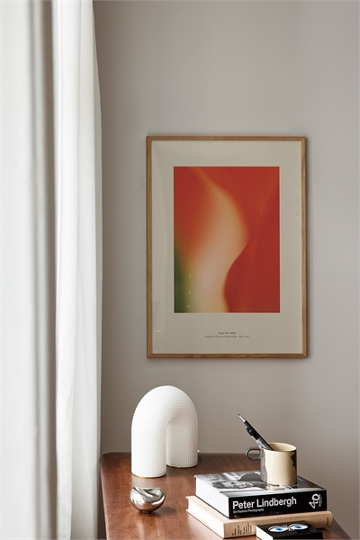 Постер "Тюльпановая дымка 1320894001