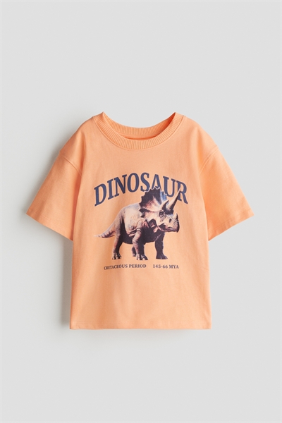 Футболка с принтом 1241007031