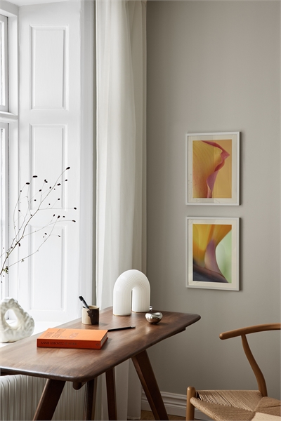 Постер "Тюльпан, освещенный солнцем 1320885001