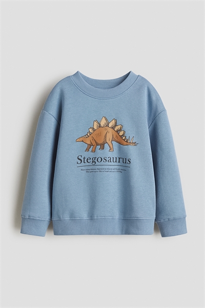 Свитшот 1078507101