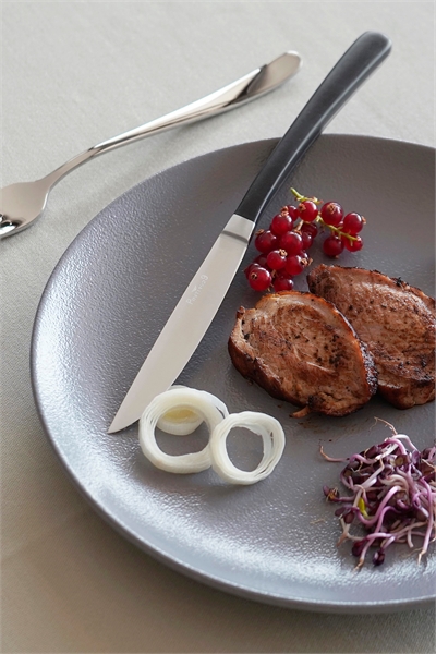 Набор ножей для стейка Kobe, 6 предметов 1327695001