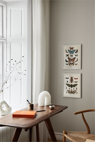 Винтажный постер с насекомыми 1052766001