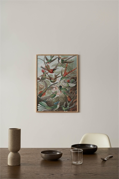 Плакат с колибри 1210532001