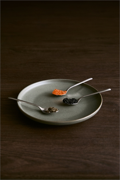 Стартовые тарелки с реактивной глазурью 2 шт. 1296973002