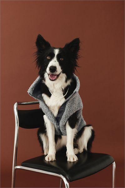 Плюшевая куртка для собак 1191063009