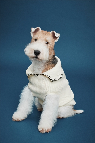 Джемпер для собак из ребристой вязки 1244138002