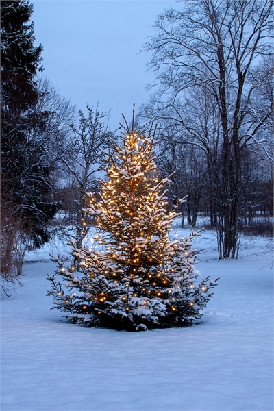 Елочные гирлянды Блестящий теплый белый 1321820001