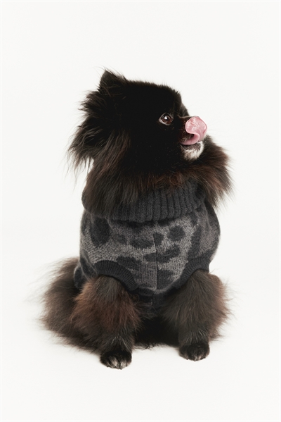 Джемпер для собак с узором 0725812026