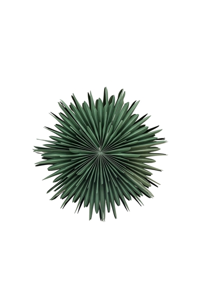 Sälen пуансеттия 60 см 1231649004