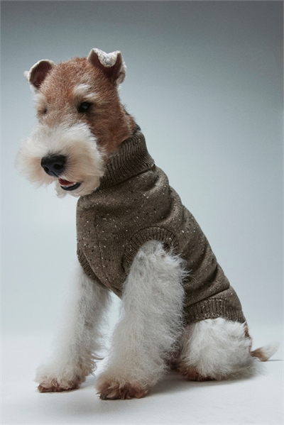 Джемпер для собаки из тонкой вязки 1244137007