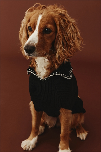 Джемпер для собак из ребристой вязки 1244138003