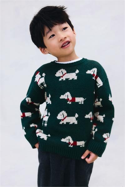 Джемпер из хлопка с жаккардовой вязкой 1304017001