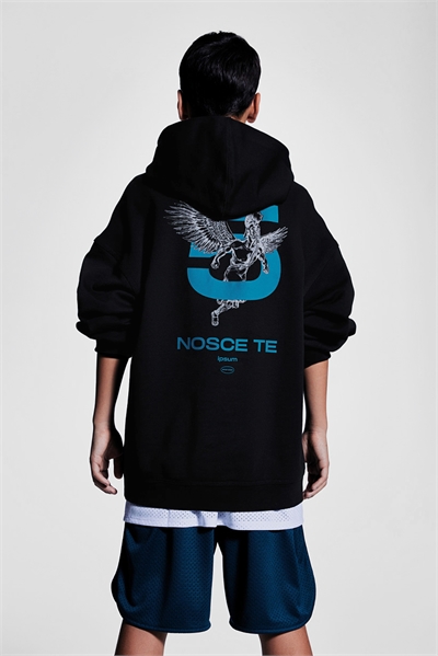 Спортивная толстовка 1254154001