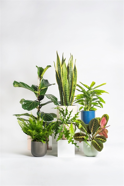 Пакет для нового дома 1145569001