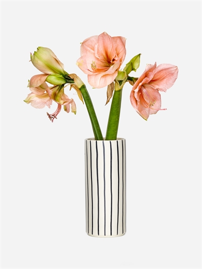 Ваза из керамики 23 см 1217058001