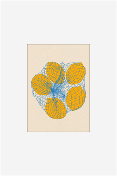 Rosi Feist - Five Lemons In A Net Bag 1235592001