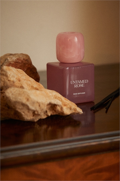 Тростниковый диффузор 1249273003