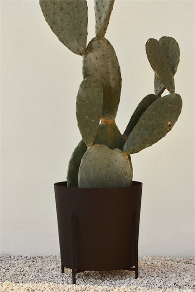 Очень большой горшок для растений на подставке 1142199003