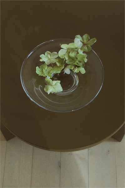 Кофейный столик 1206850004