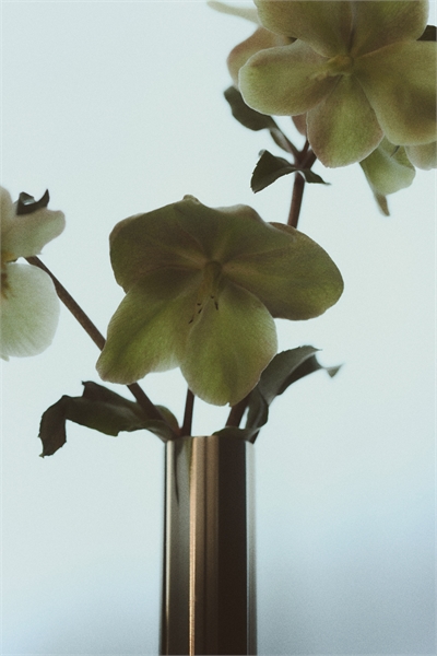 Высокая ваза для бутонов из нержавеющей стали 1308946001