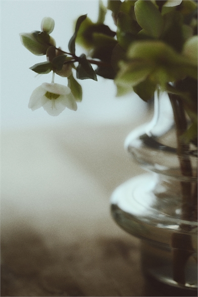 Маленькая многоярусная стеклянная ваза 1312116001